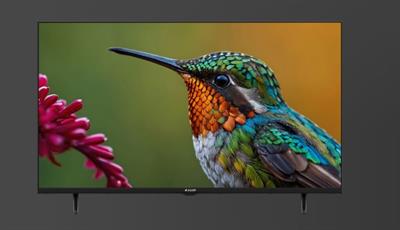 Arçelik A43 D 697 B 43/108 cm Google Televizyon