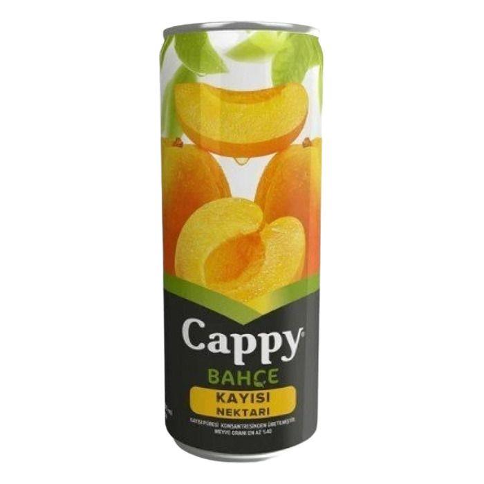 cappy-250ml-kutu-kayisi-98b38e.jpg