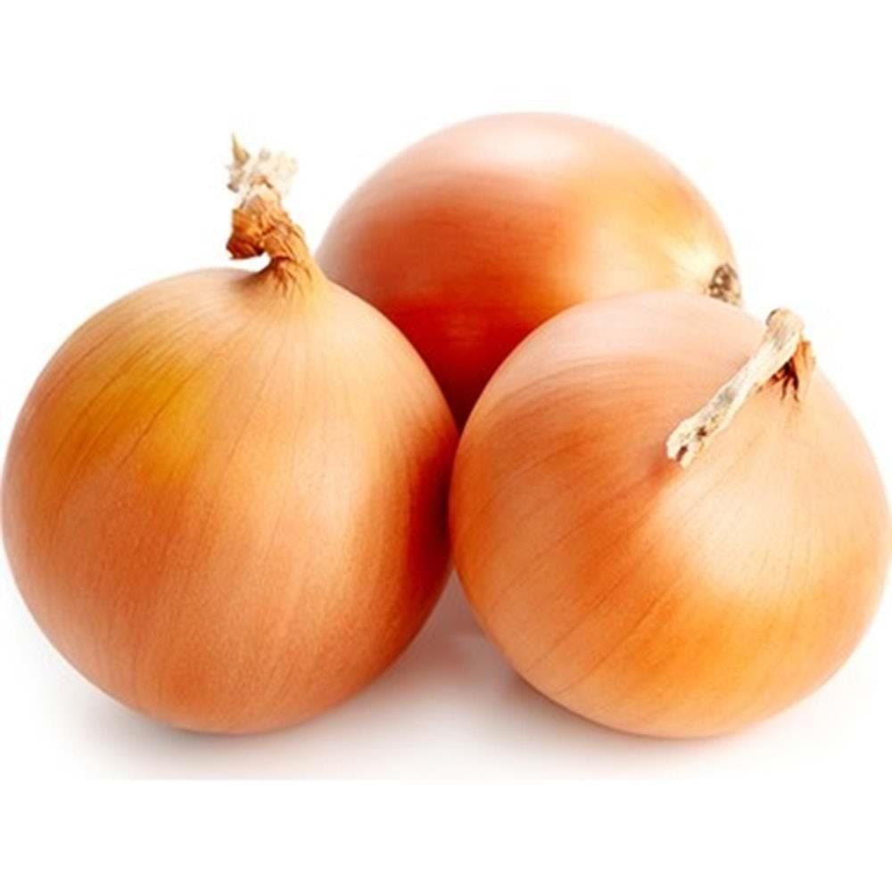 KURU SOGAN A KALITE *kg