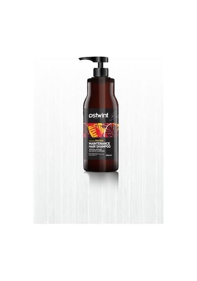 OSTWINT SAMPUAN PROTEIN 600ml