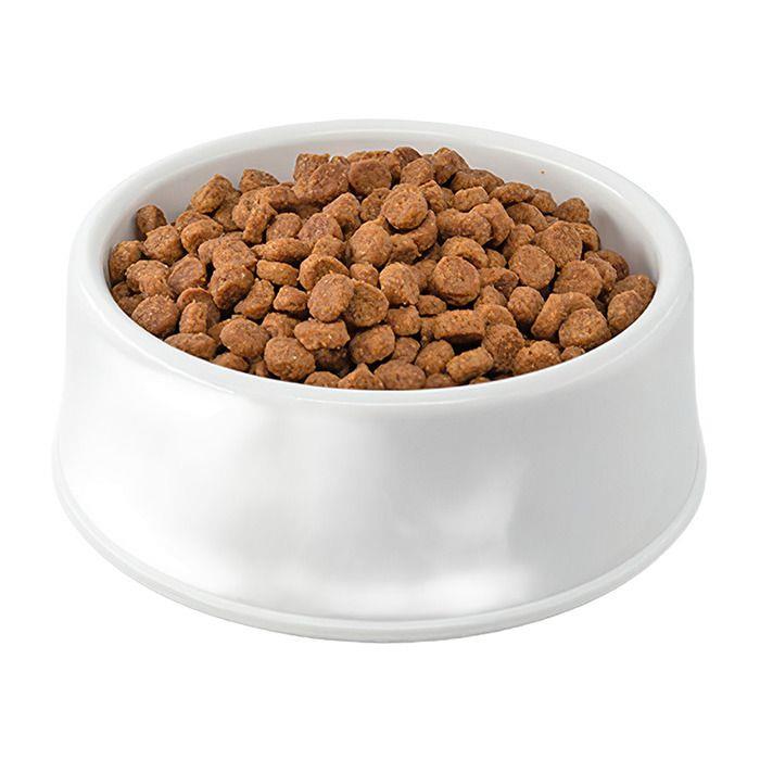 petbite-yetiskin-kedi-mamasi-15kg-kuzu-04bcbc.jpg