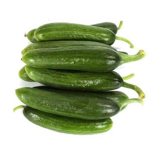 SALATALIK DOGAL  *kg