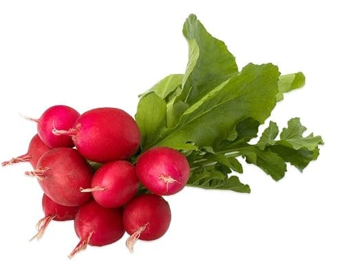 TURP FINDIK  *Demet