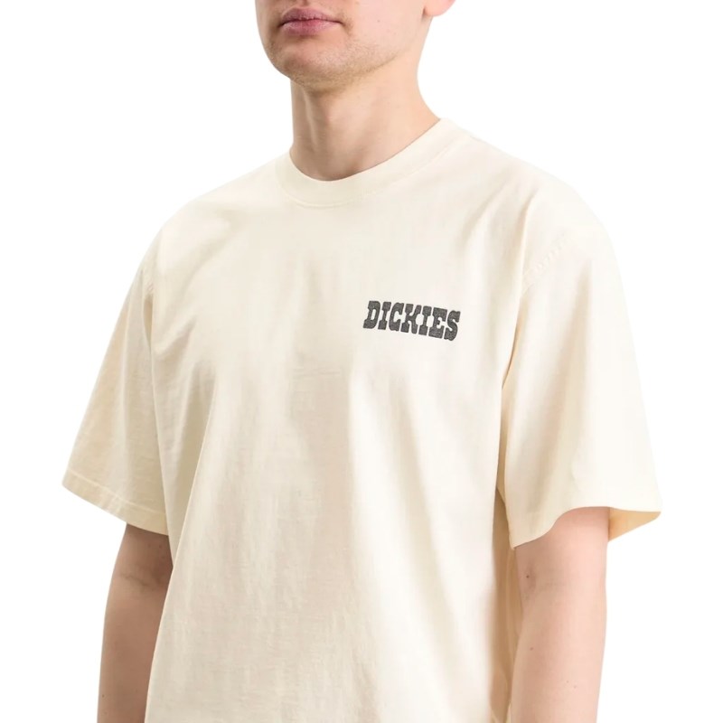 Dickies Buchtell SS Tee Egret