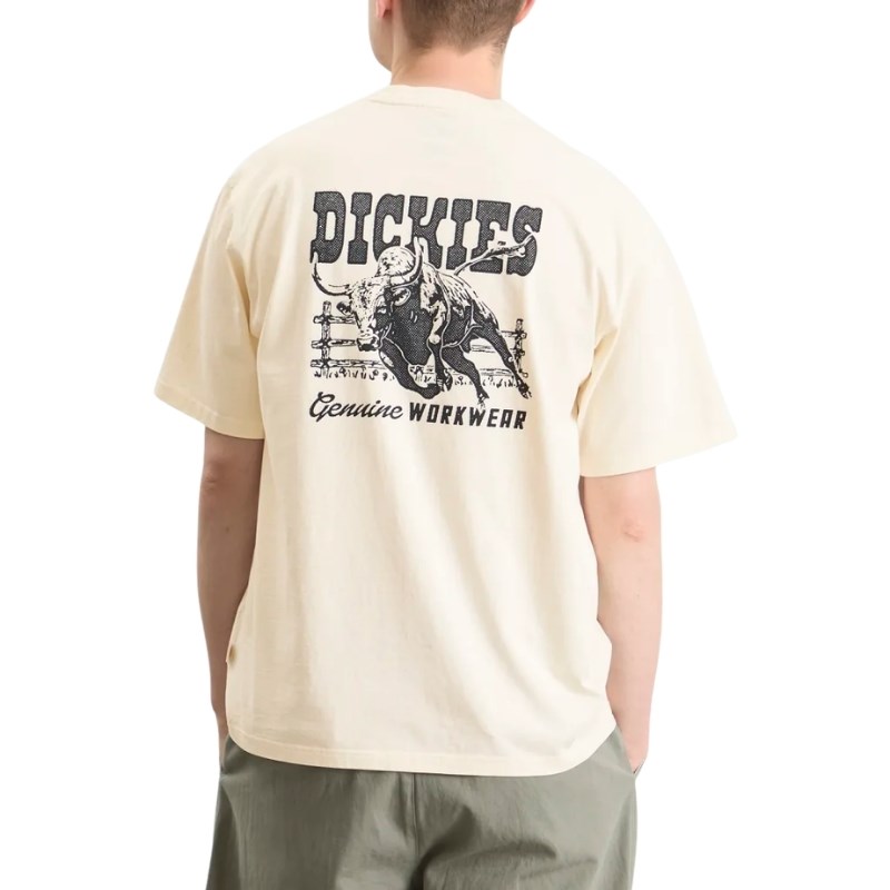 Dickies Buchtell SS Tee Egret