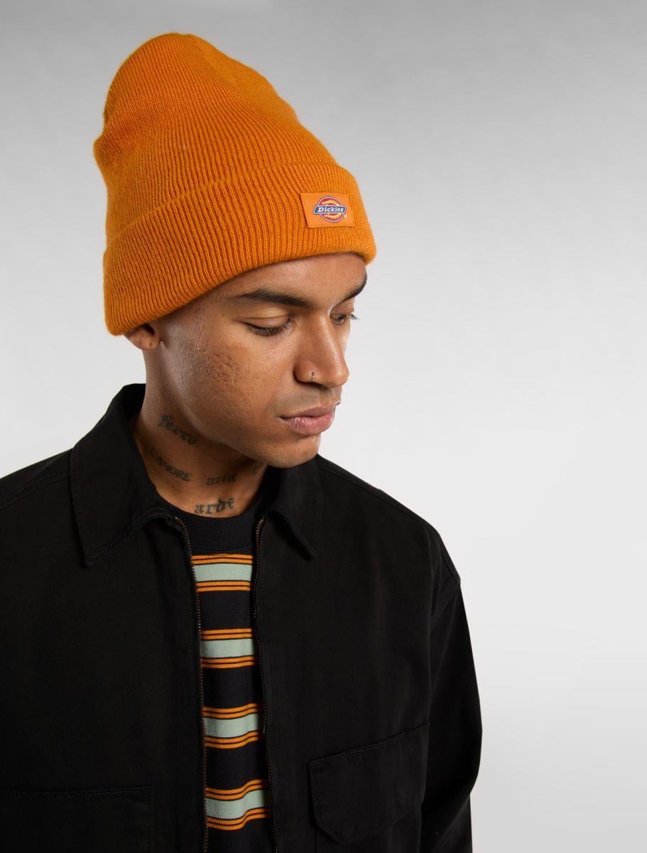 Dickies Gibsland Beanie