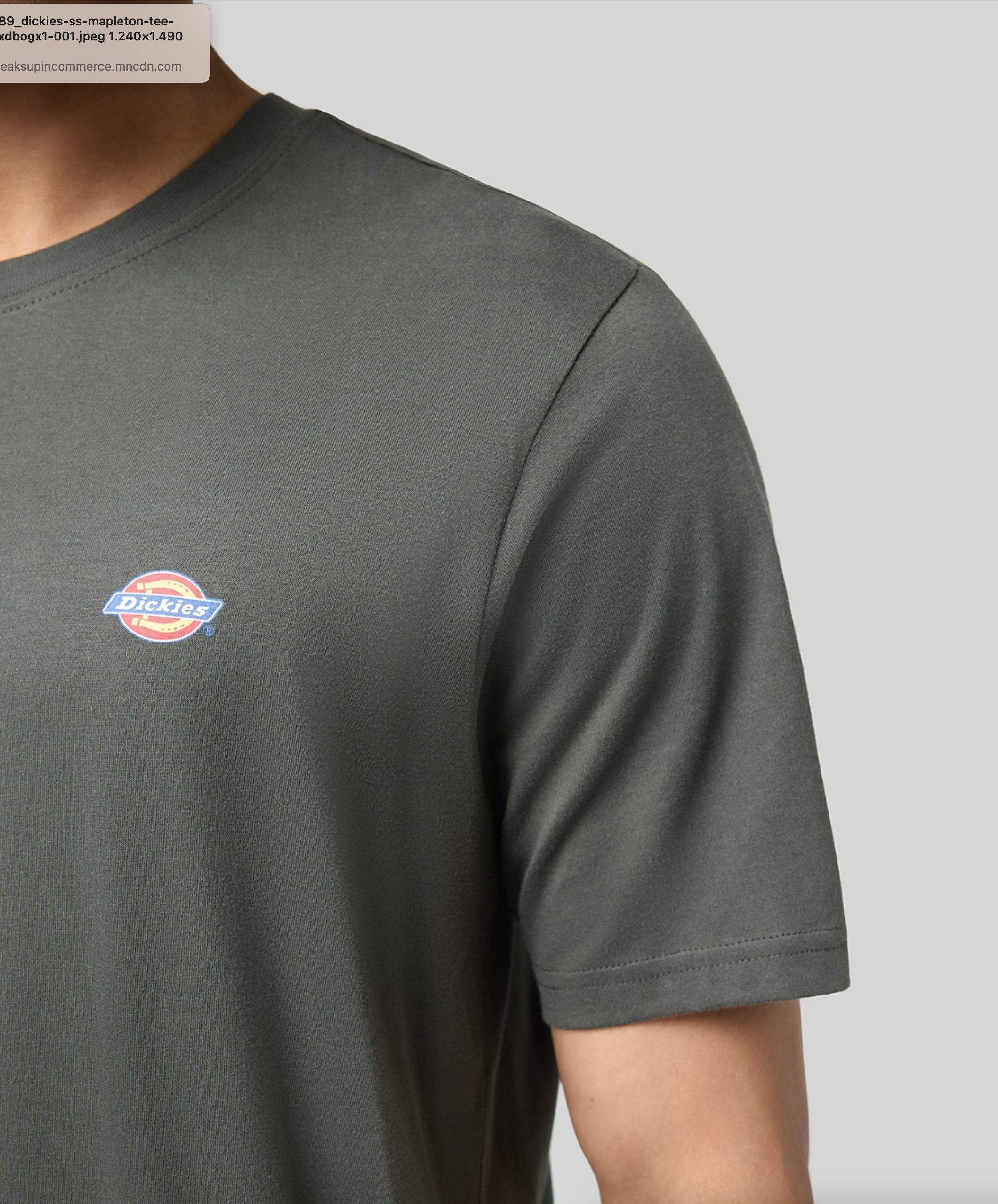 Dickies Ss Mapleton Tee
