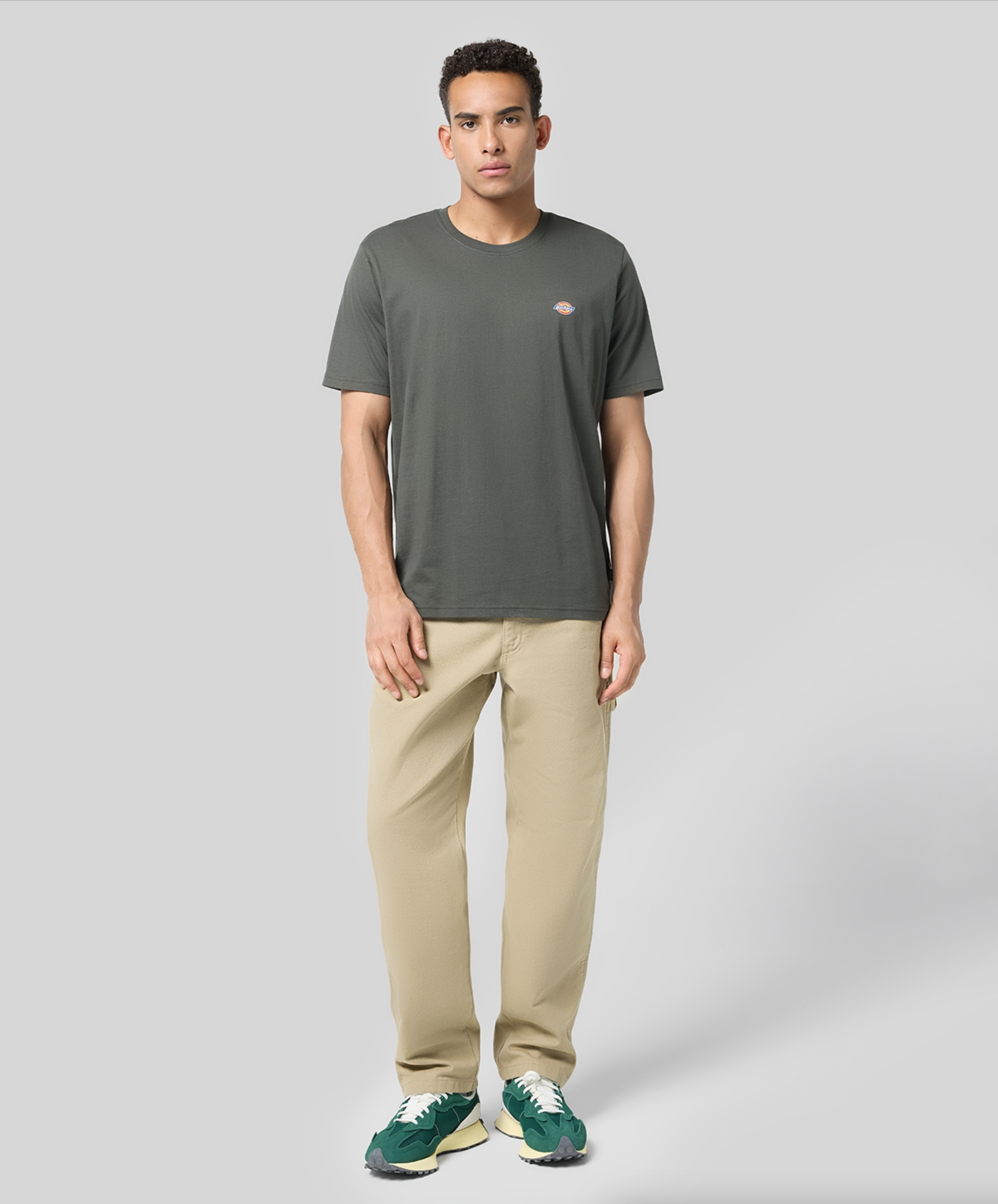 Dickies Ss Mapleton Tee