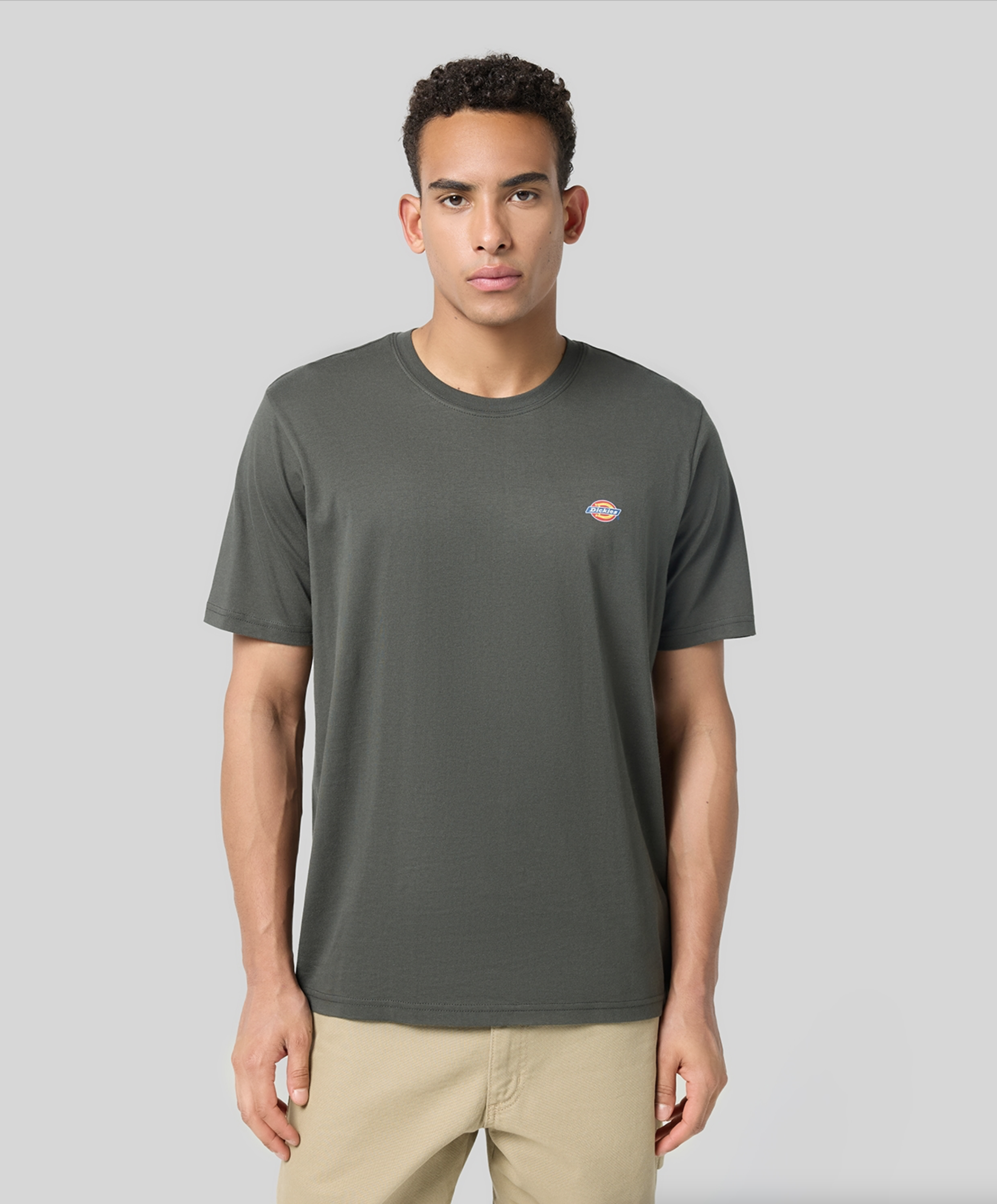 Dickies Ss Mapleton Tee