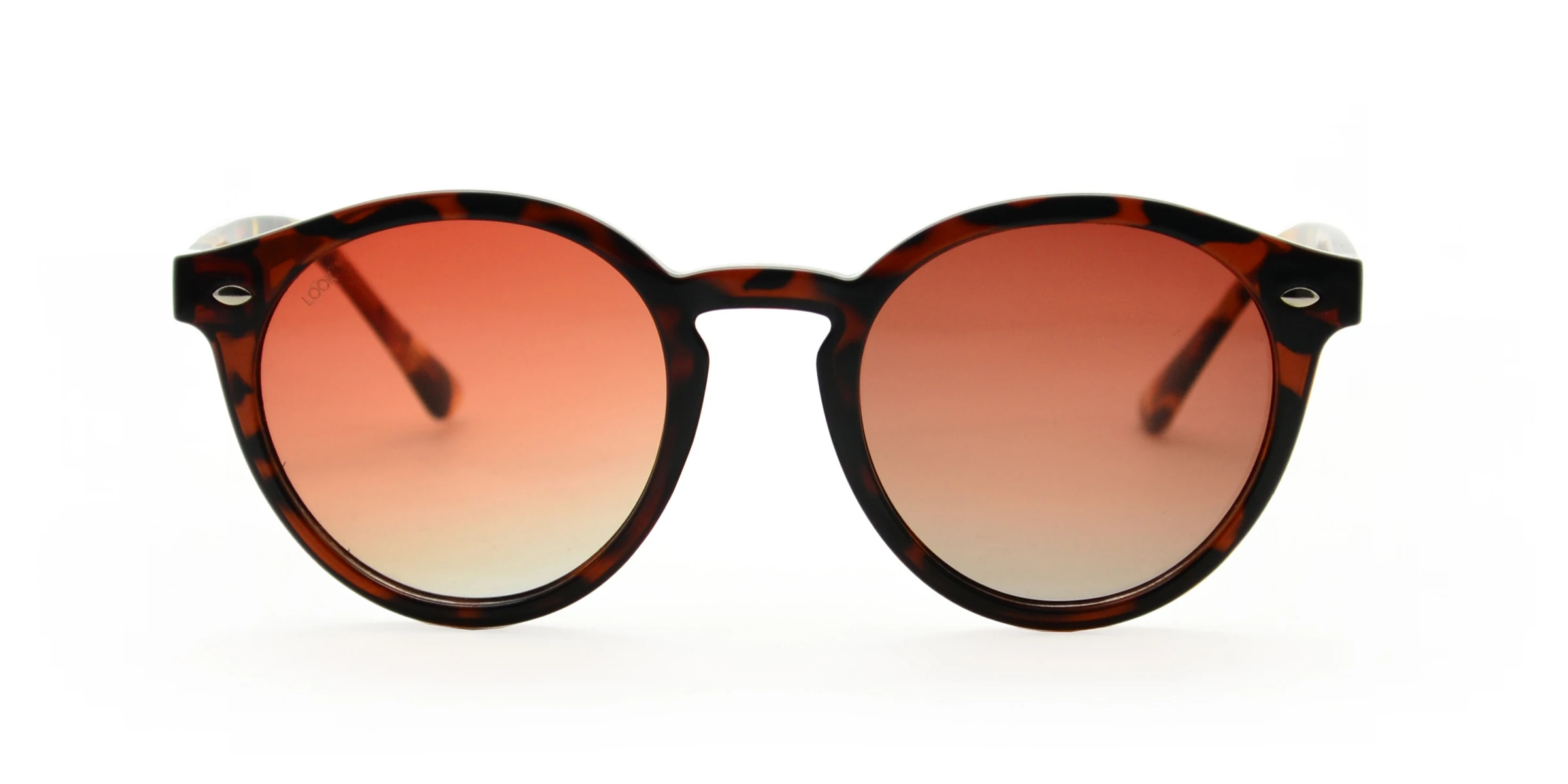 Looklight Langdon Bold Chocolate Unisex Güneş Gözlüğü