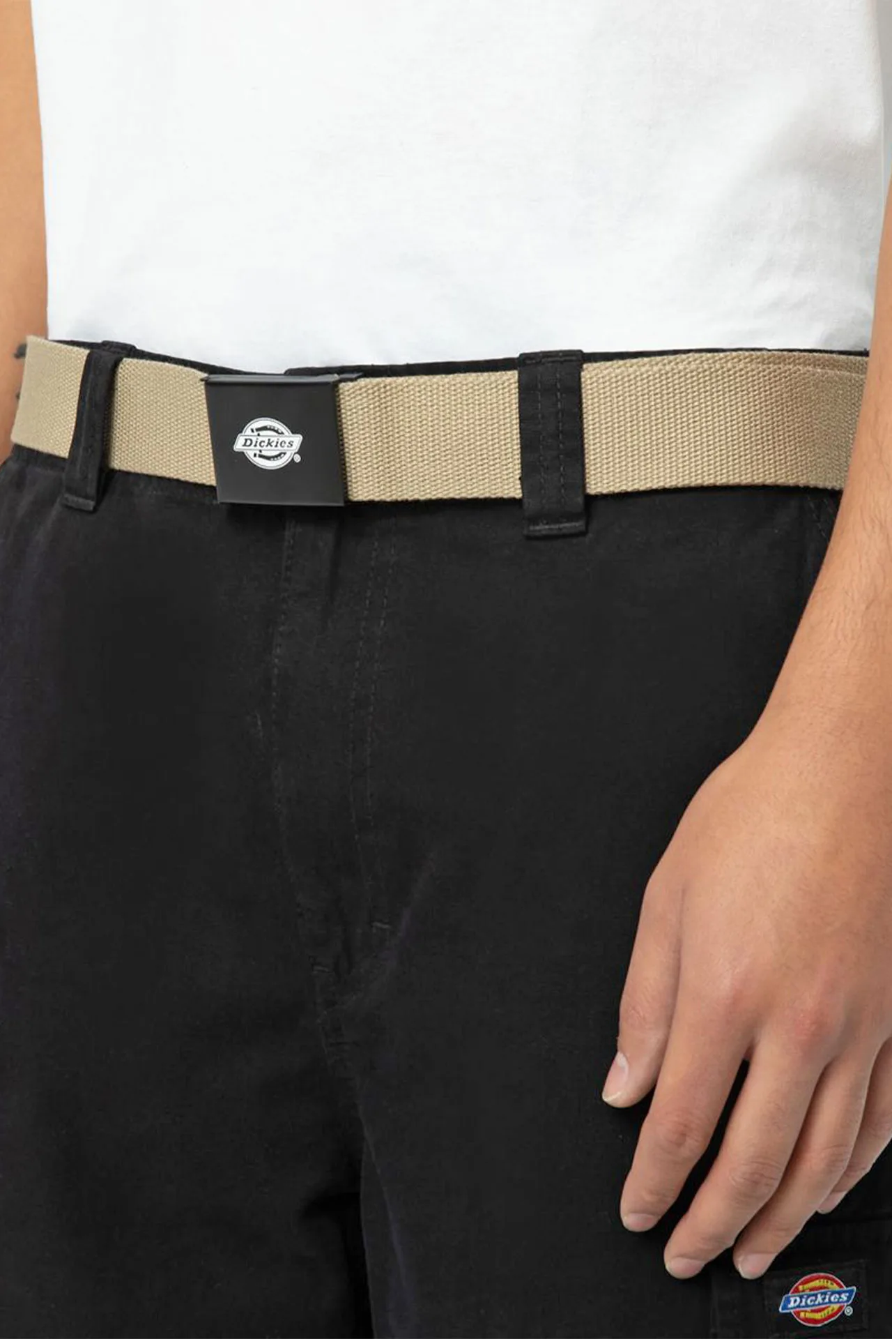 Dickies ORCUTT Kemer