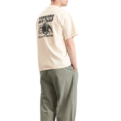 Dickies Buchtell SS Tee Egret