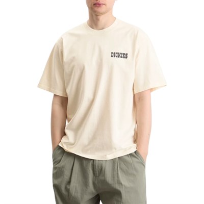 Dickies Buchtell SS Tee Egret