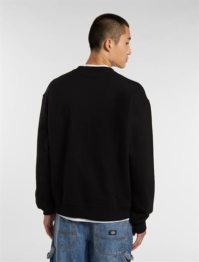 DICKIES CLANCY BB SWEATSHIRT