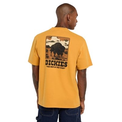 Dickies Darrtown Sunflower SS Tee T-shirt