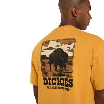 Dickies Darrtown Sunflower SS Tee T-shirt
