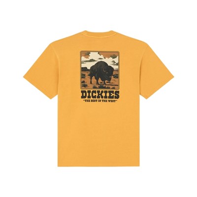 Dickies Darrtown Sunflower SS Tee T-shirt