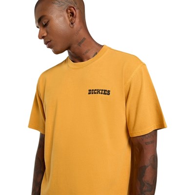 Dickies Darrtown Sunflower SS Tee T-shirt