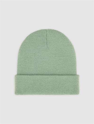 Dickies Gibsland Bere