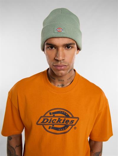 Dickies Gibsland Bere