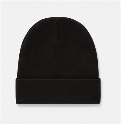 Dickies Gibsland Erkek Siyah Bere