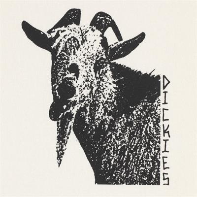 DICKIES MIKE ANDERSON GRAPHIC T-SHIRT