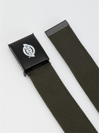 Dickies ORCUTT Kemer