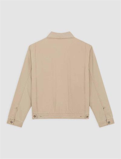 Dickies Painter Kanvas Ceket