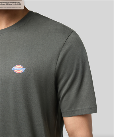 Dickies Ss Mapleton Tee