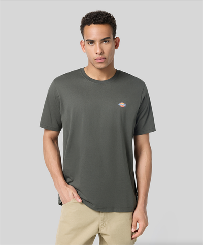 Dickies Ss Mapleton Tee