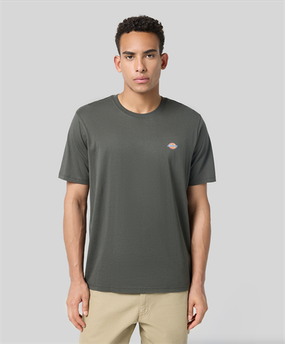 Dickies Ss Mapleton Tee