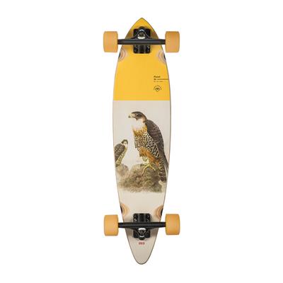 Globe Pintail Falcon 34