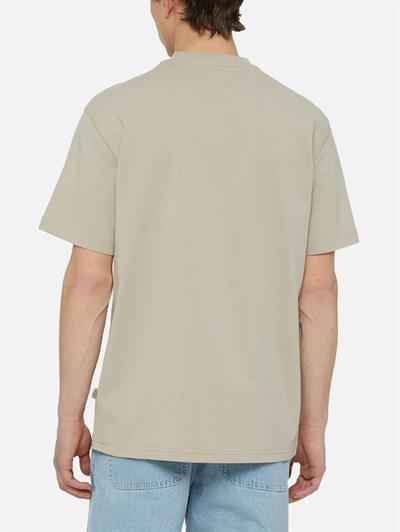 Dickies Summerdale Ss Tee T-Shirt