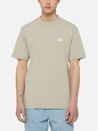 Dickies Summerdale Ss Tee T-Shirt