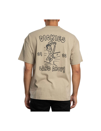 Dickies DECARTUVILLE TEE SS