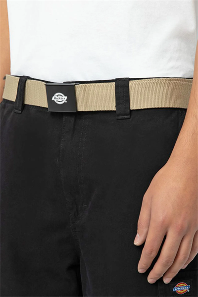 Dickies ORCUTT Kemer