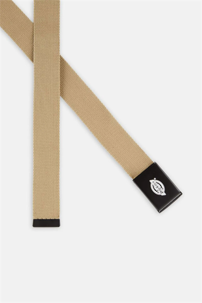 Dickies ORCUTT Kemer