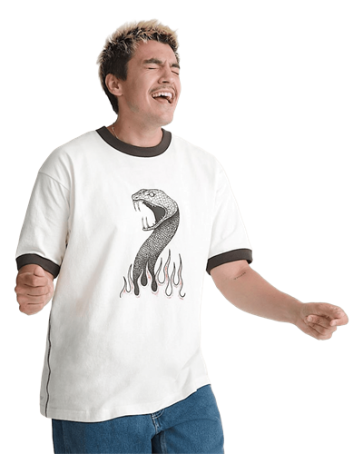 Vans Skate Mike G Snake Flame Ringer