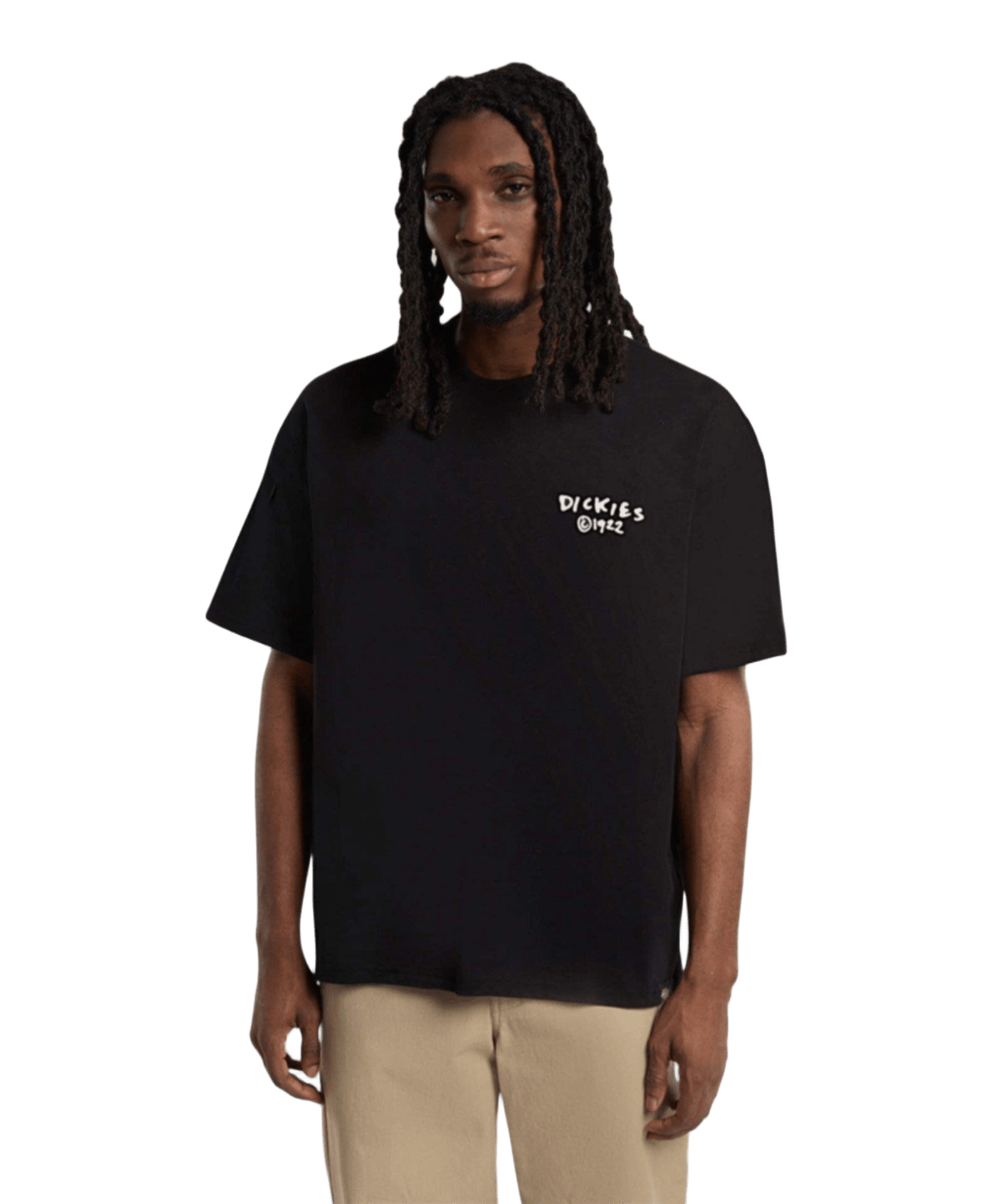 Dickies Sneedville Tee SS