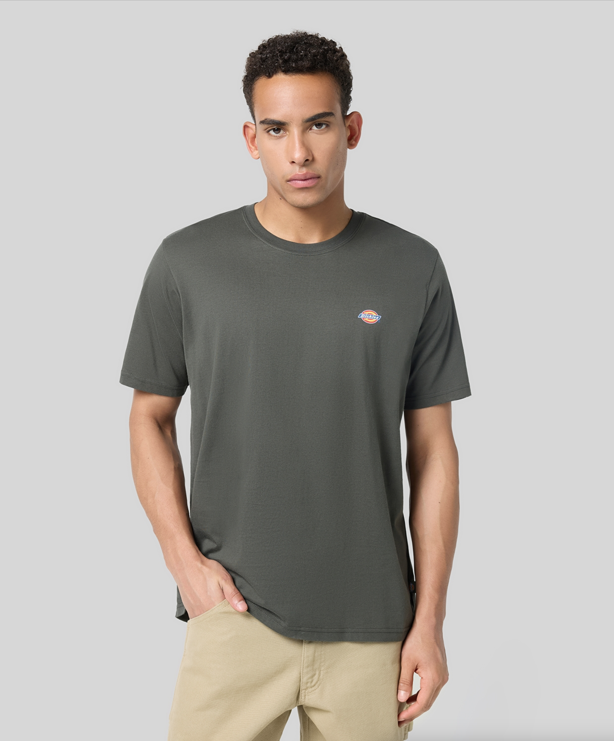 Dickies Ss Mapleton Tee