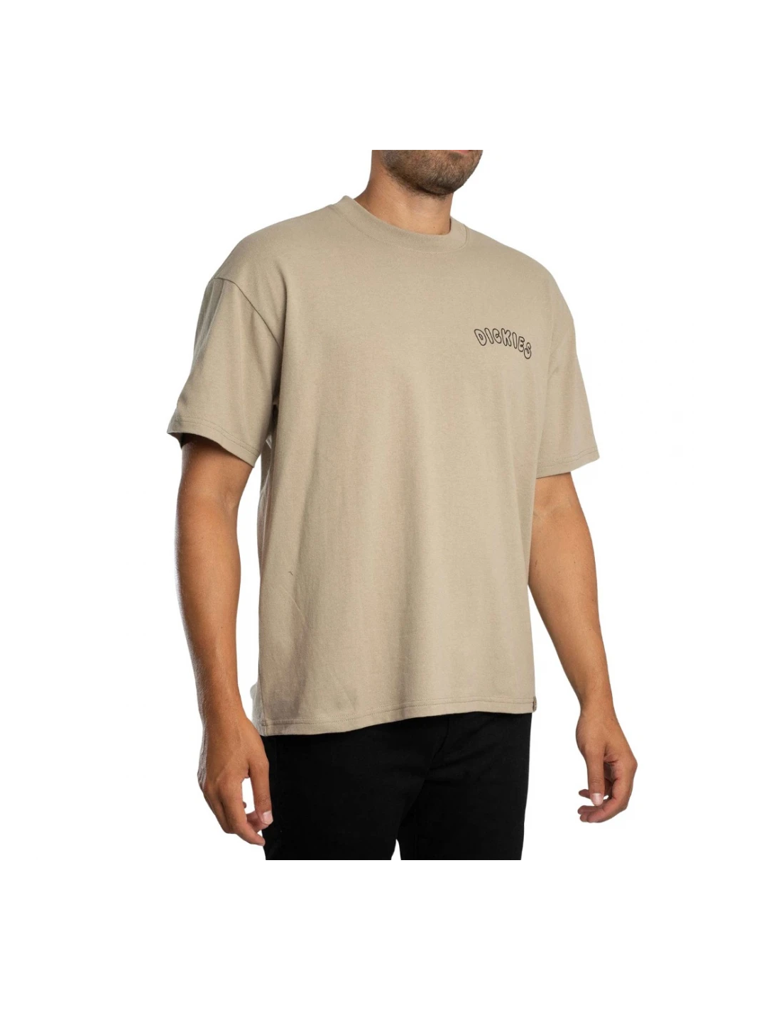 Vans DECARTUVILLE TEE SS