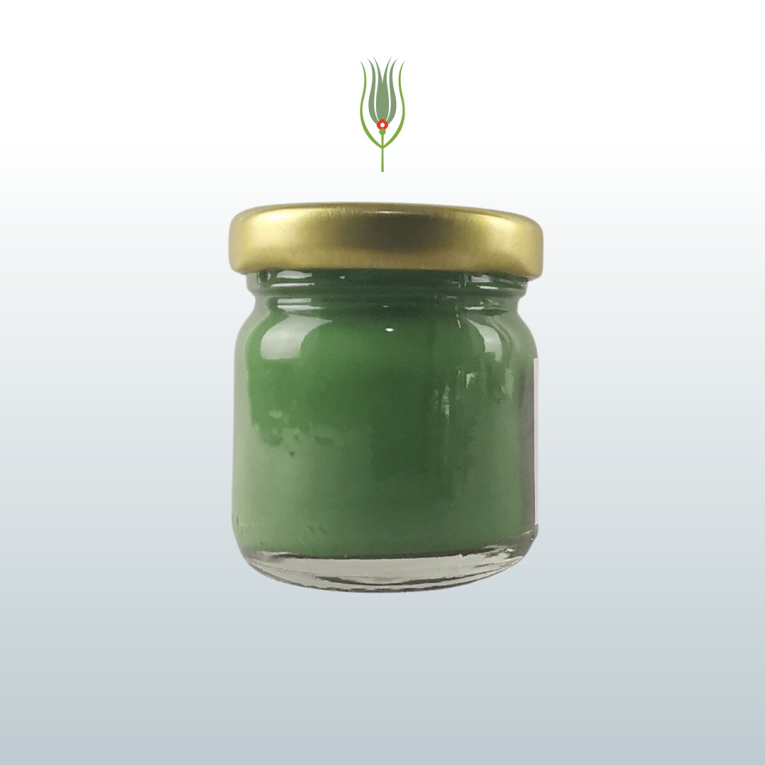 Art Elegant Seramik ve Çini Boya 40gr 8832 Çimen Yeşili