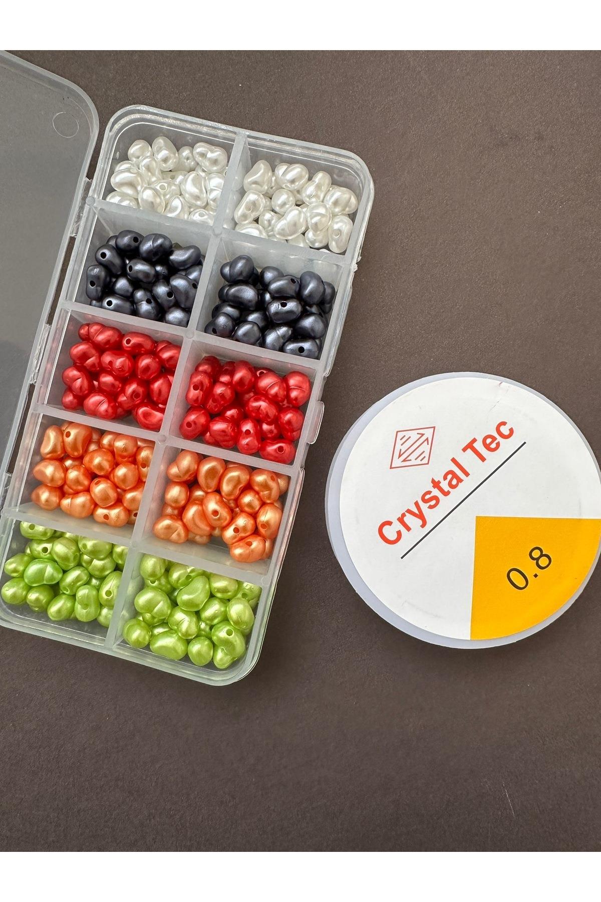 10lu Organizer Kutuda Incili Takı Hobi Set