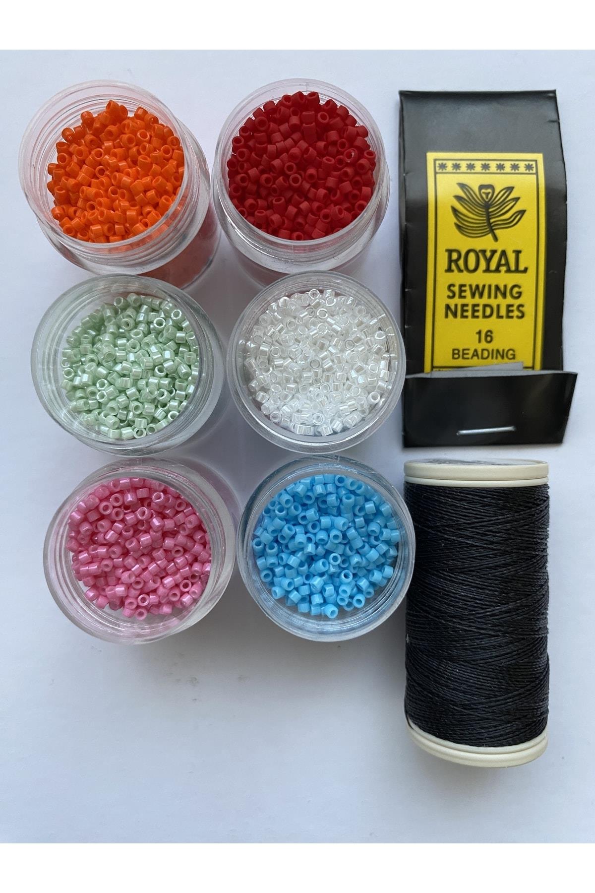 Miyuki Delika Boncuk Başlangıç Seti 9 (2 GR)