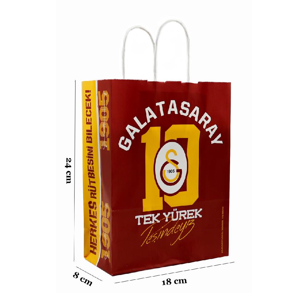 18x24 Galatasaray Temalı Lisanslı Kağıt Poşet - 2li Paket