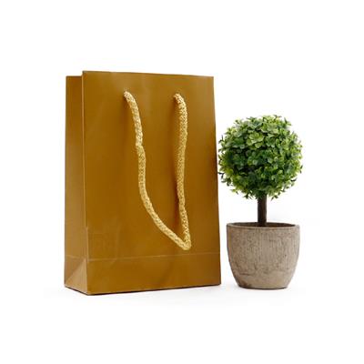 12x17 Gold Karton Çanta - 2li Paket