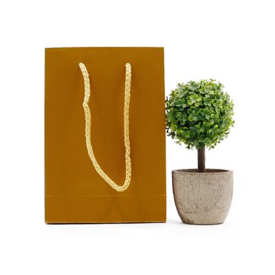 12x17 Gold Karton Çanta - 2li Paket