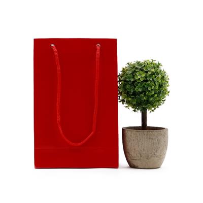 12x17 Kırmızı Karton Çanta - 2li Paket