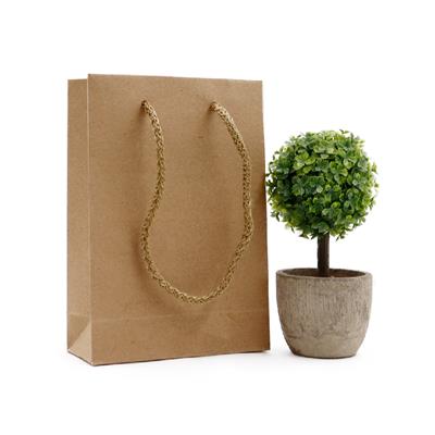 12x17 Kraft Karton Çanta - 2li Paket