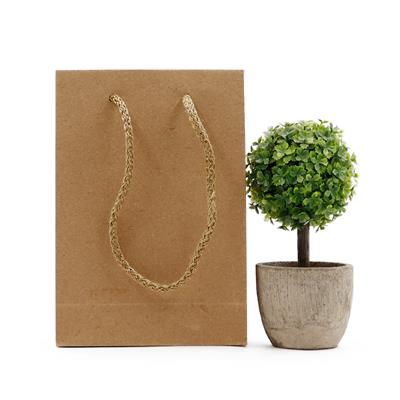 12x17 Kraft Karton Çanta - 2li Paket